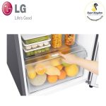 LG GN-B202SQBB 187L Double Door Fridge - Image 4