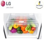 LG GN-B202SQBB 187L Double Door Fridge - Image 6