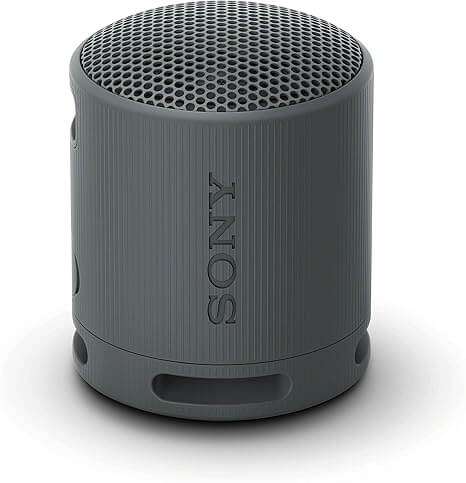 Sony SRS-XB100 Portable Bluetooth Speaker affordable price in Nairobi Kenya.