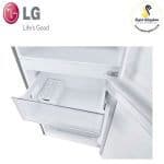 LG GC-B369NLJM 306L Bottom Freezer Fridge - Image 5