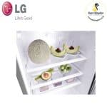 LG GN-Y331SLBB 195L Single Door Fridge - Image 6